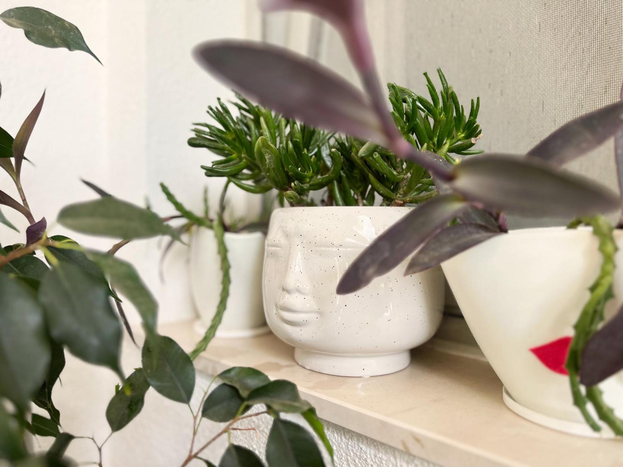 Room Tai - Spacious And Comfy With Private Terrace Χβαρ Εξωτερικό φωτογραφία