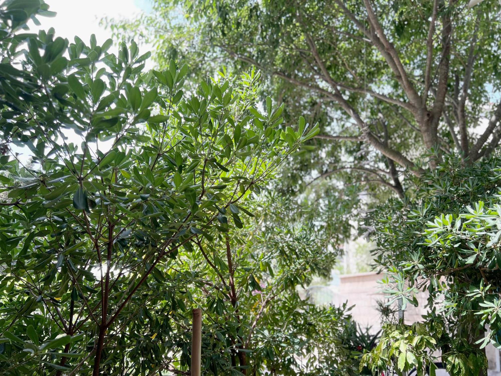 Room Tai - Spacious And Comfy With Private Terrace Χβαρ Εξωτερικό φωτογραφία